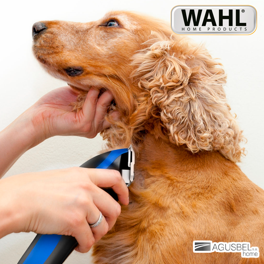 U-Clip Wahl - Imagen 4